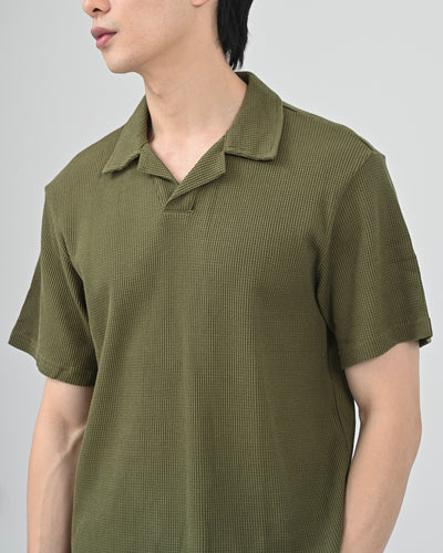 #color_olive