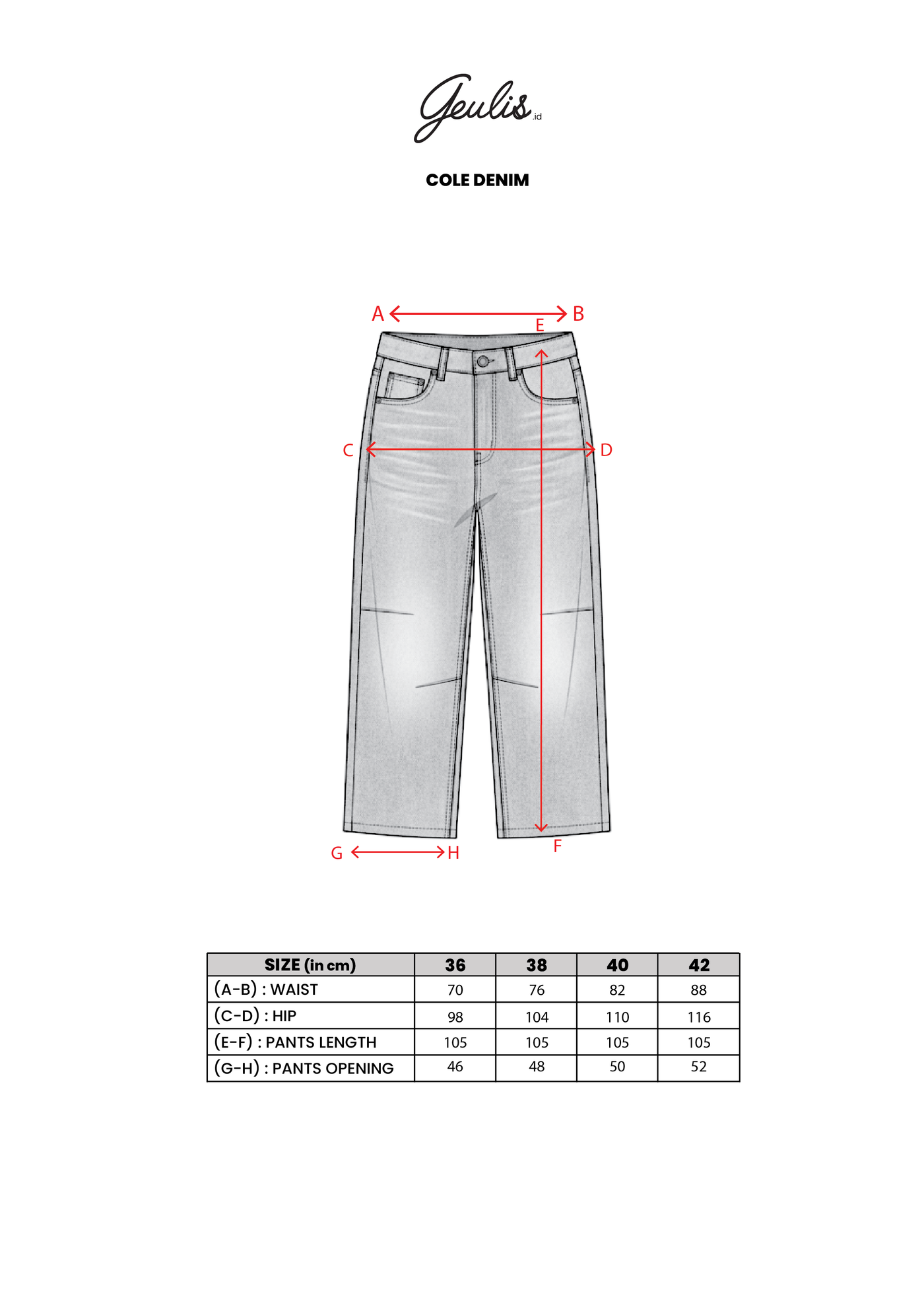 COLE DENIM PANTS – GEULIS